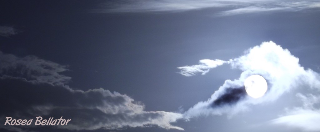 Tente sempre limpar a mente e livrar-se de preocupações.